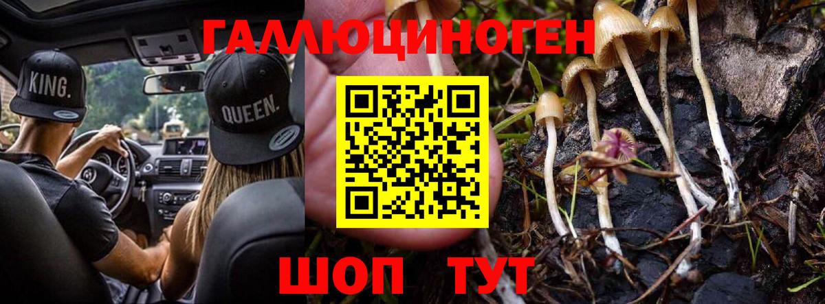 Галлюциногенные грибы ЛСД Тутаев
