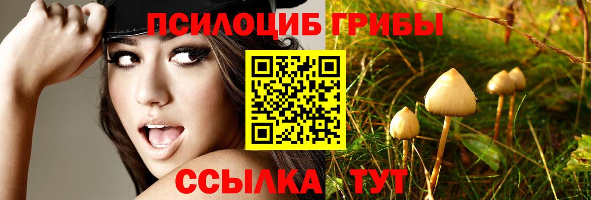 Галлюциногенные грибы ЛСД  Псилоцибиновые грибы Psilocybe  Тутаев  Вход с VPN 